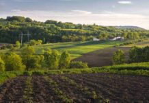 Plein Champ : prévisions météo agricoles pour votre région Plein Champ