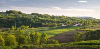 Plein Champ : prévisions météo agricoles pour votre région Plein Champ
