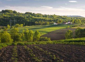 Plein Champ : prévisions météo agricoles pour votre région Plein Champ