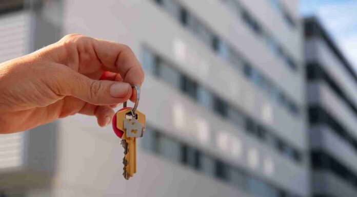 Atrium sud : votre agence immobilière de confiance à Saint-Raphaël atrium sud