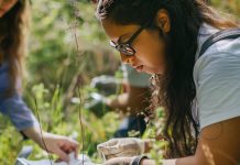 BTSA GPN : comprendre le programme, les débouchés et les conditions d’admission BTSA GPN : comprendre le programme, les débouchés et les conditions d’admission