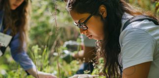 BTSA GPN : comprendre le programme, les débouchés et les conditions d’admission BTSA GPN : comprendre le programme, les débouchés et les conditions d’admission
