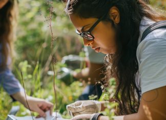 BTSA GPN : comprendre le programme, les débouchés et les conditions d’admission